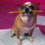 perrito_intelectual